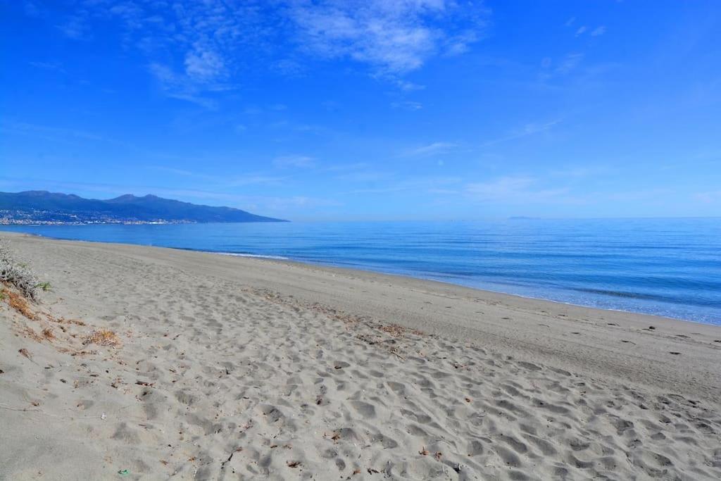 5 Min Des Plages - Appt 2 Chambres A Casa Bella Lucciana  Bagian luar foto